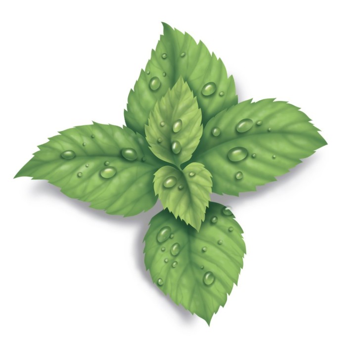 Wkładki zapachowe VICKS VapoPads VH7V1 z mentolemopakowanie 7 szt.