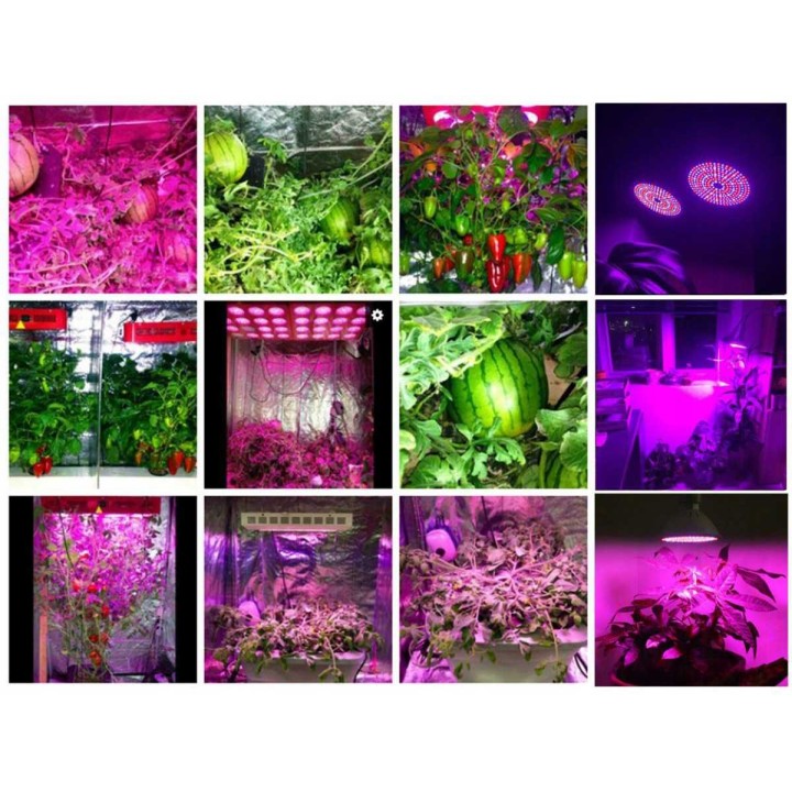 Lampa LED do uprawy Heckermann 3x10W 120LED 3 głowice