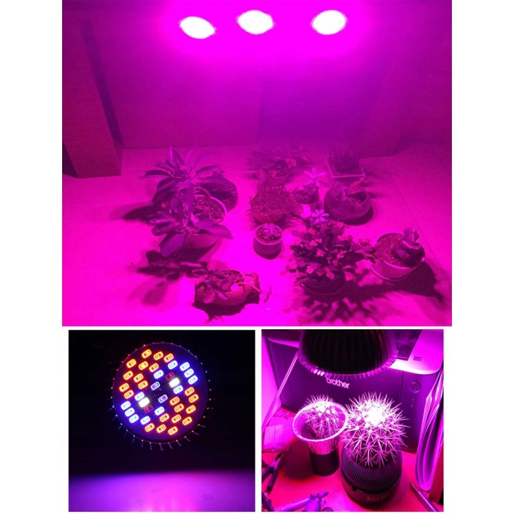 Lampa LED do uprawy Heckermann 3x10W 120LED 3 głowice