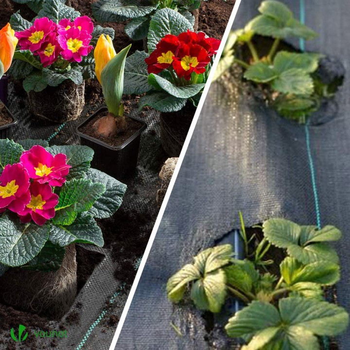 Agrotkanina Heckermann 0,8x50m 70g/m² + 50 czarnych kołków mocujących