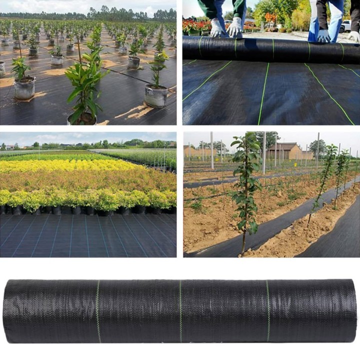 Agrotkanina Heckermann 0,8x50m 70g/m² + 50 czarnych kołków mocujących