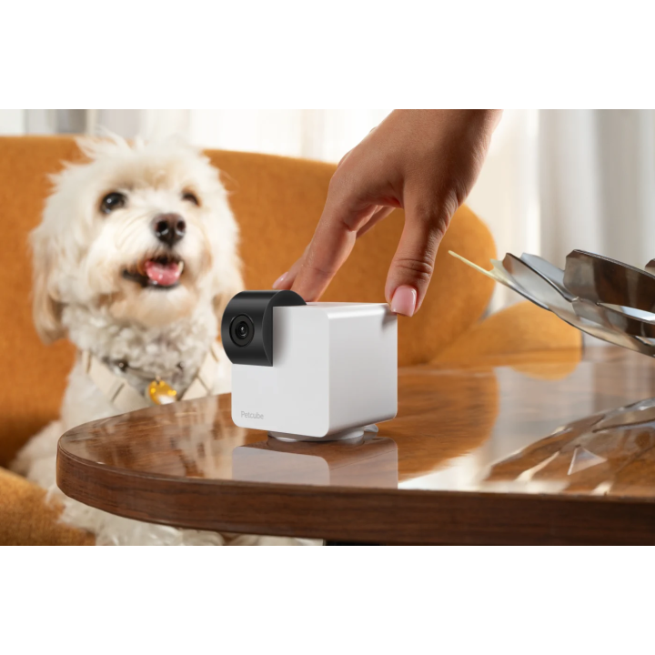Petcube Cam 360° | Monitoruj swojego pupila w jakości 1080p WiFi