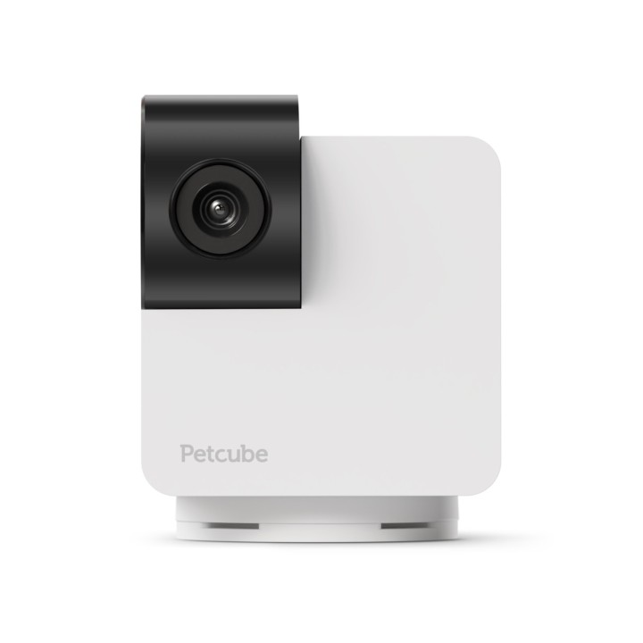 Petcube Cam 360° | Monitoruj swojego pupila w jakości 1080p WiFi