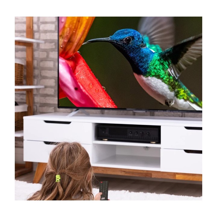 MANTA Telewizor 24" HD Czarny