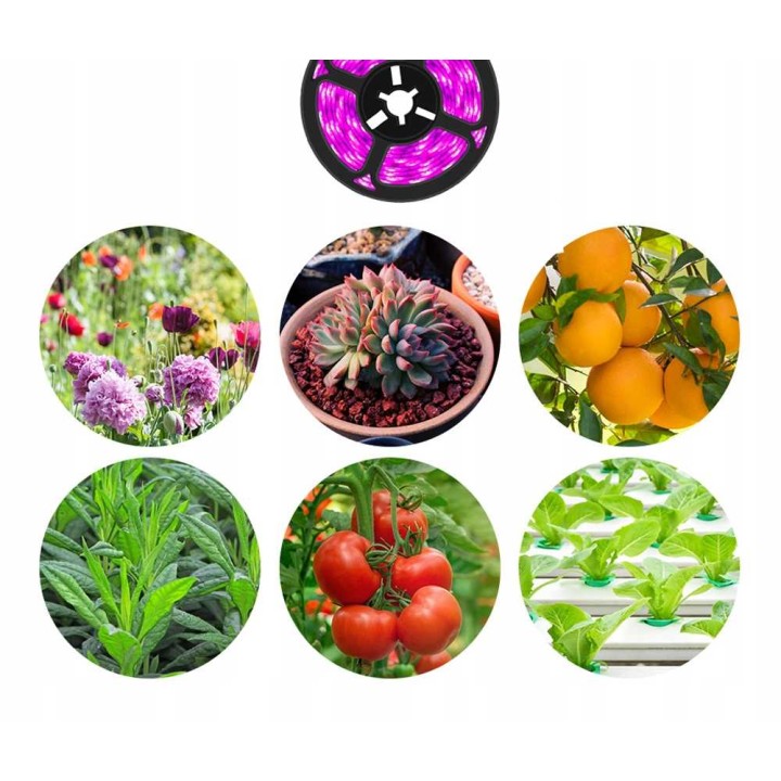 Taśma LED do Roślin Heckermann 1m USB IP20