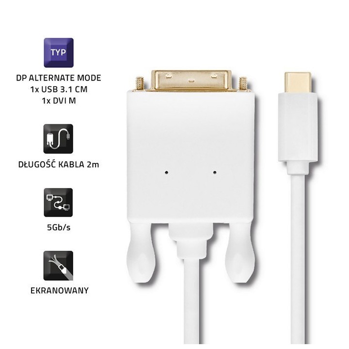 Kabel USB 3.1 typ C męski/DVI męski/4K/2m